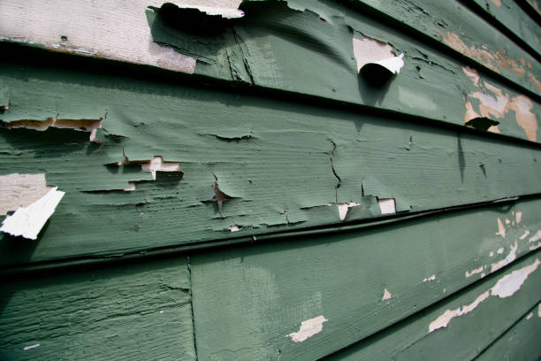 Best Retail Junk Removal  in Cienega Springs, AZ